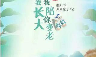 幼儿园重阳节文案 幼儿园重阳节文案