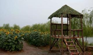 真人cs场地 真人cs场地