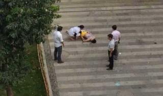 厦门南洋学院 厦门南洋学院